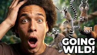 Thumbnail: AXEL WITSEL vs. Adorable Animals – Family Fun Gone Wild!