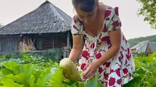 Thumbnail: Carpathian Family Life 🏔️ Vasyl & Marina Catch Trout, Cook by Fire & Preserve Cucumbers
