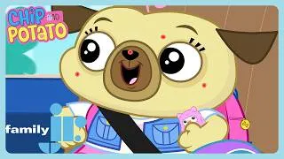 Thumbnail: Chip and Potato - Back to School Chip | Family Jr.