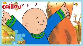 Thumbnail: Caillou - Rakes The Leaves | Happy Canada Day 🇨🇦 | Family Jr.