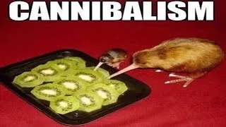 Thumbnail: Memes from the basement for no reason