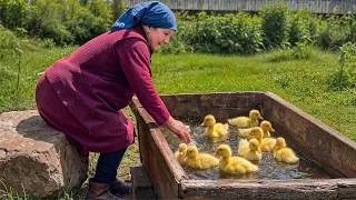 Thumbnail: Most Peaceful Mountain Village Life During Rain | Wood Stove Cooking & Farm Homesteading