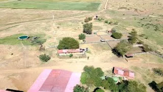 Thumbnail: Walk around the best ranch in Laikipia 
