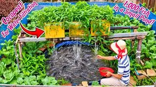 Thumbnail: How I Raise Catfish Without Changing Water | Grow Fresh Vegetables for My Family!