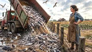 Thumbnail: The Fish Market Left Its Scrap to Rot by Her Fence — 4 Years Later Her Vegetables Won the State Fair