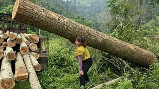 Thumbnail: Agricultural vehicle transporting timber; loaded to full capacity.