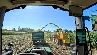 Thumbnail: Dairy Farming & Start of Corn Harvesting