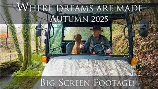 Thumbnail: Dreamy, Misty, Cinematic Autumn Footage with  Evocative Soundtrack.  Created by the Dji Mavic 4 Pro