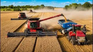 Thumbnail: 4 Case IH Combines Harvesting Kentucky Wheat | Double Crop Soybeans