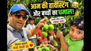 Thumbnail: मैंने आम के पेड़ लगाए थे… आज मेरे बच्चे उसी का फल खा रहे हैं 🥭🌳”