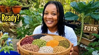 Thumbnail: Self-sufficiency Starts With Just One Seed/Imagine Having Thousands Of Seeds!