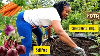 Thumbnail: How To Prepare SOIL For ROOT VEGETABLES/Planting Beets Carrots Turnips And Coco Yams 