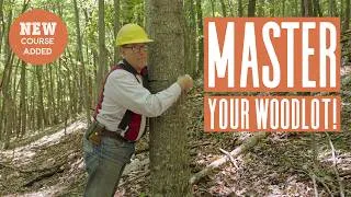 Thumbnail: Joel Salatin’s Woodlot Management Course: Tree ID, Timber Stands, & Sawmills (Promo)