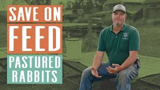 Thumbnail: The Pastured Rabbit System that Saves Money & Builds Stronger Animals | Daniel Salatin Q&A