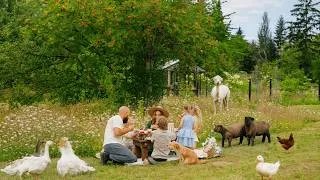 Thumbnail: A Quiet Summer on Our Farm