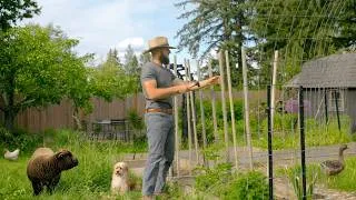 Thumbnail: A Spring Day on Our Farm | Gardening, Animal Care & Slow Living