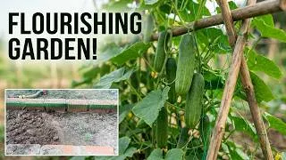 Thumbnail: How I Built a Flourishing Cucumber Garden From Scratch | Farm Life