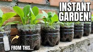 Thumbnail: Planting Vegetable Seeds in Recycled Plastic Bottl
