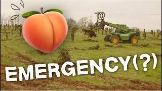 Thumbnail: They're Coming For The Peaches?