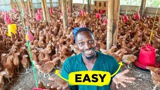 Thumbnail: How To Start a Farm on EASY MODE