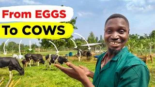 Thumbnail: We are going ALL IN with Dairy Cattle
