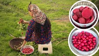 Thumbnail: Fresh Radishes to Jar 🫜Easy Homemade Pickles🌿