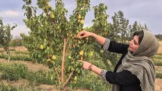 Thumbnail: A Summer Day in Our Garden, Western Iran : Family, Food & Fun🌿✨