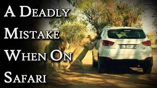 Thumbnail: A Deadly Mistake When On Safari | Fascinating Horror