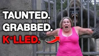 Thumbnail: The DARKEST Zoo Incidents Ever Recorded..