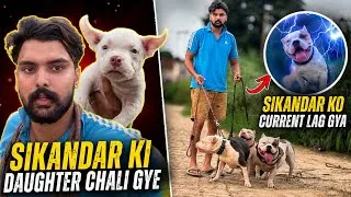 Thumbnail: Sikandar ko current lag gaya😭Piggy apne ghar chalie gye🥹🐶