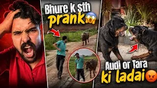 Thumbnail: Audi vs Tara😡Dosti krane k chakkr me ladai😳 Bhure k sth prank bhari pad jata😱