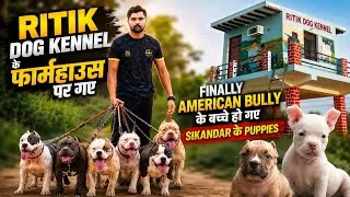 Thumbnail: Finally American bully k Puppys aa gyee😍