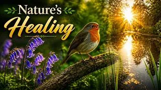 Thumbnail: The Most Relaxing 432Hz Harp Music & Forest Birdsong: Greensleeves