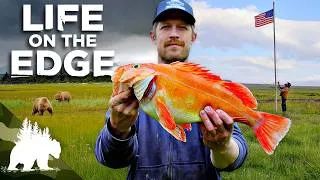Thumbnail: Life on the Edge: Taming the Alaskan Wilderness | Complete Season 2 | Part 2 | Survival Show