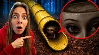 Thumbnail: Ballerina cappuccino is calling me! Slide monster took her! part 3