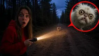 Thumbnail: OIIAOIIA CAT is Calling YOU - RUN!! SLIDE MONSTER Took the Kitten