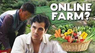 Thumbnail: How Organic Farming is Changing the Way Filipinos Eat