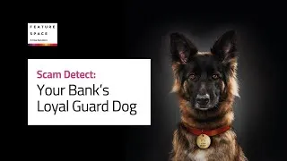 Thumbnail: Scam Detect: Your Bank's Loyal Guard Dog