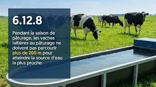 Thumbnail: Webinaires FBC - Mises à jour - Animaux d'élevage, d'insectes, apiculture - Normes biologiques 2026