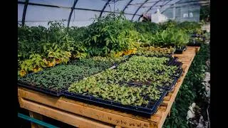 Thumbnail: Webinaires FBC - Mises à jour - Productions végétales - Normes biologiques canadiennes 2026