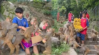 Thumbnail: Wearing France & Spain football jersey and sharing apple with the monkeys || what a joyful day 🇫🇷 🇪🇸