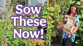 Thumbnail: Seeds You MUST Sow In September Before It's Too Late! / UK Garden Allotment