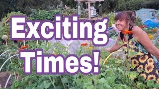 Thumbnail: Nice Surprises and More Gardening Tips at The Feel Good Garden UK Allotment 