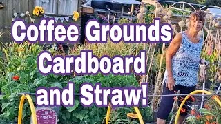 Thumbnail: Freebies and Cheap in The Feel Good Garden UK Allotment 