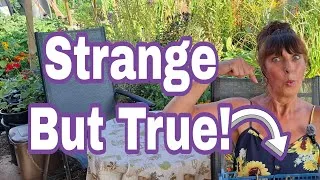 Thumbnail: Wasn't Expecting To Find This!!  | Free Plant Food /  Feel Good Garden UK