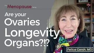 Thumbnail: Ovaries & Longevity: Top tips for protecting ovarian health for healthy longevity | Felice Gersh, MD
