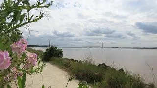 Thumbnail: Anthony Hedges: Scenes from Humber.