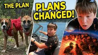 Thumbnail: Took the dogs for a hike but things didn't go as planned!