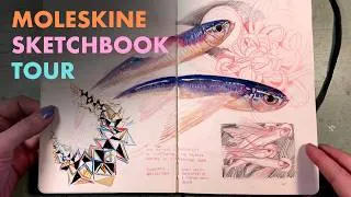 Thumbnail: I Haven't Finished A Moleskine In Forever! Sketchbook Tour 2022-2024