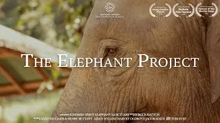 Thumbnail: Elephant Tourism In Thailand - "The Elephant Project" (Short Film 2021)